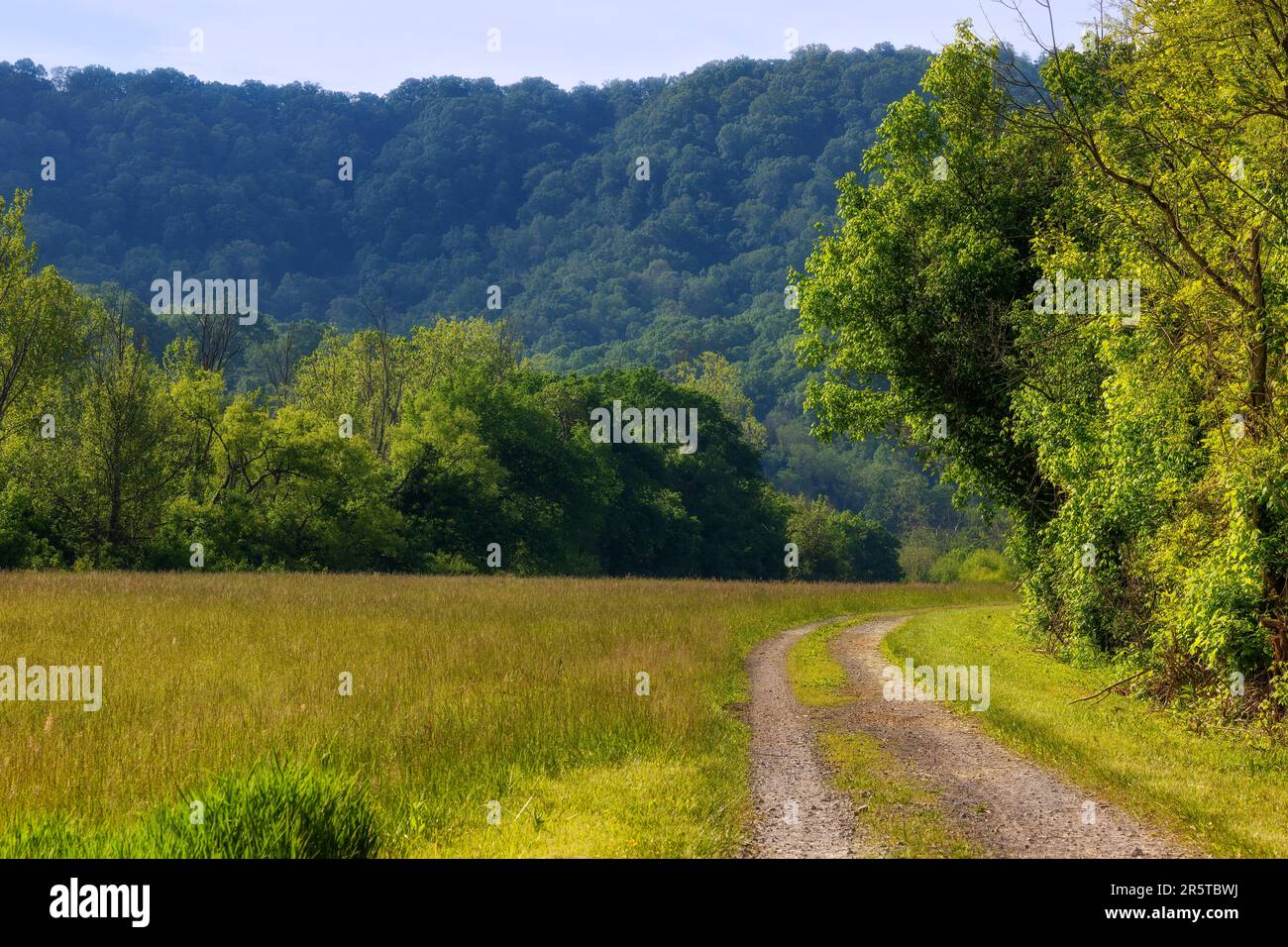 Naturspaziergang im Frühling auf dem Phipps Bend Trail in der Nähe von Church Hill, Tennessee. Stockfoto