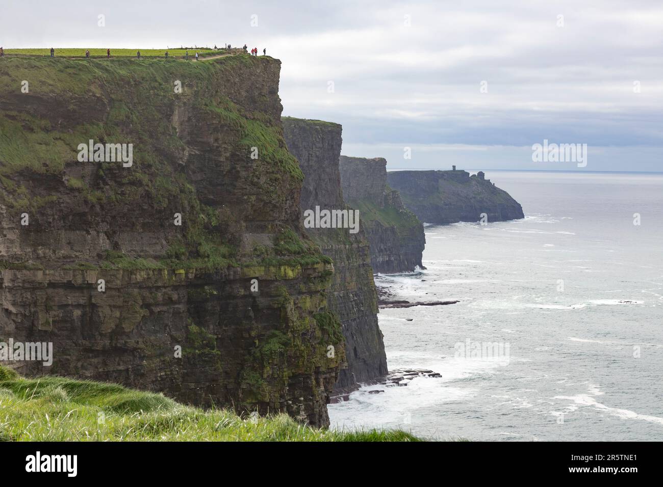 Blick über die Klippen der Cliffs of Moher in Irland Stockfoto