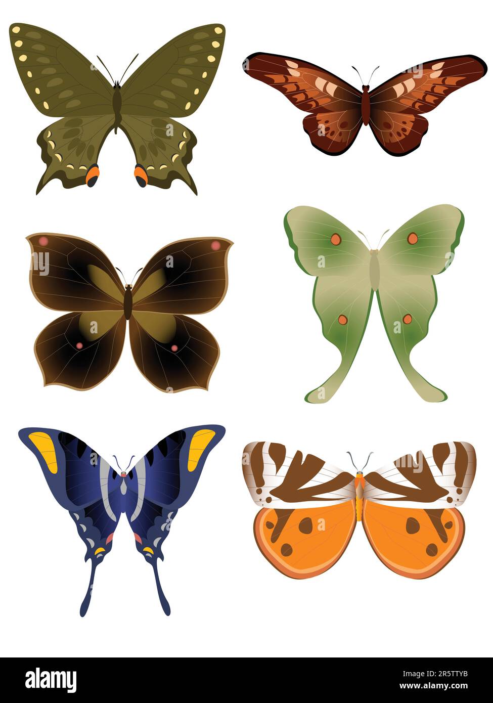 Illustration verschiedener Farben isolierter tropischer Schmetterlinge Stock Vektor