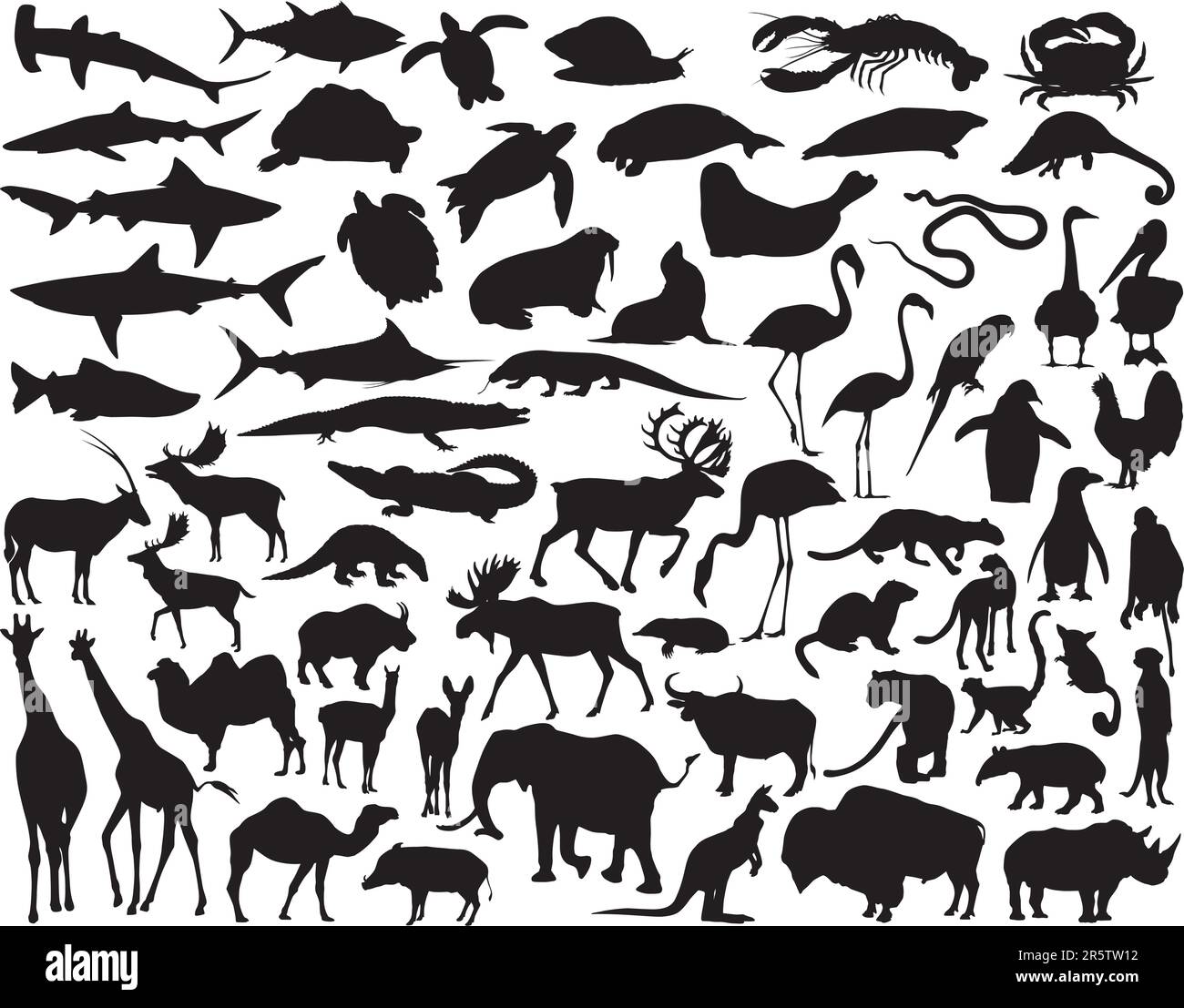 Sammlung verschiedener Tiervektorsilhouetten Stock Vektor