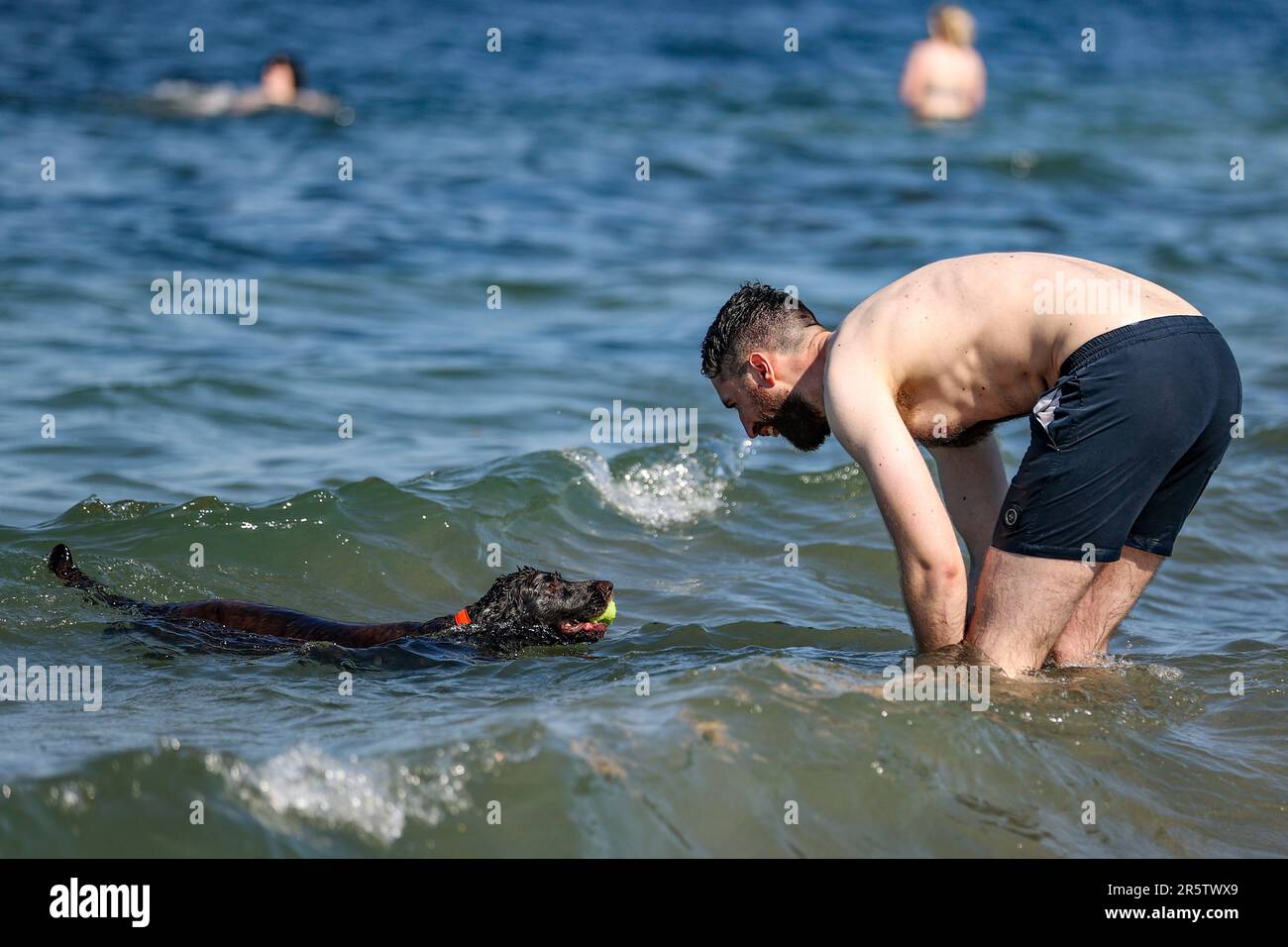 Ian Agnew aus Ballyeaston spielt Fetch mit seinem sechs Jahre alten Cocker Spaniel George in Helen's Bay in Bangor, Nordirland. Foto: Montag, 5. Juni 2023. Stockfoto