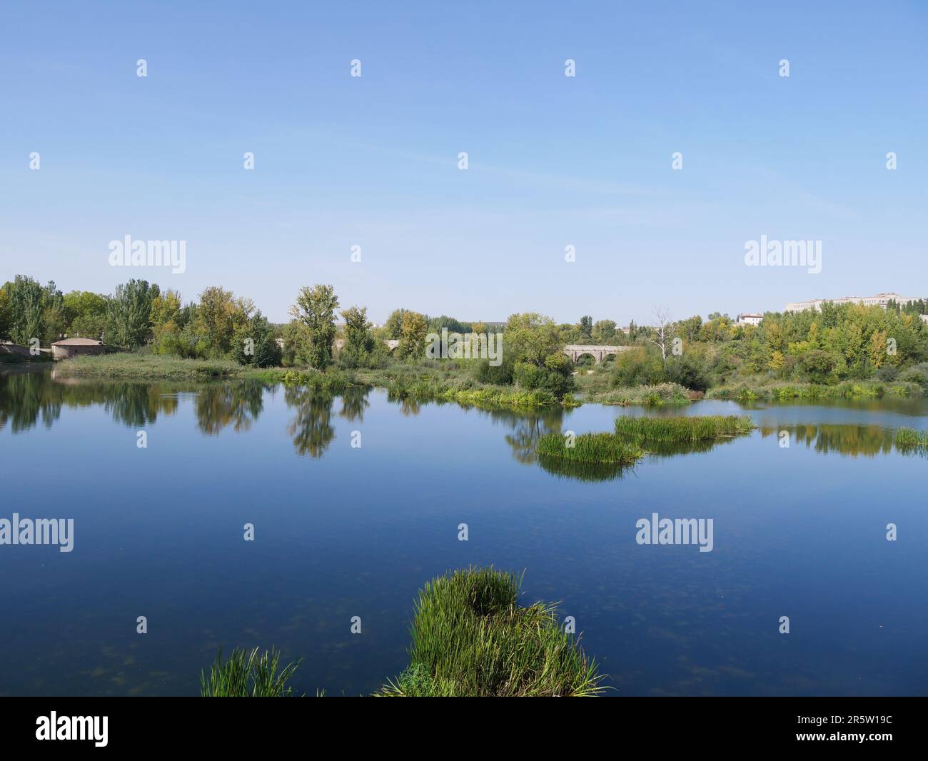 Blick auf den Fluss Tormes, der durch die Stadt Salamanca an einem Tag mit blauem Himmel fließt. Sie können die verschiedenen Arten von Pflanzen und Vegetation sehen. Stockfoto