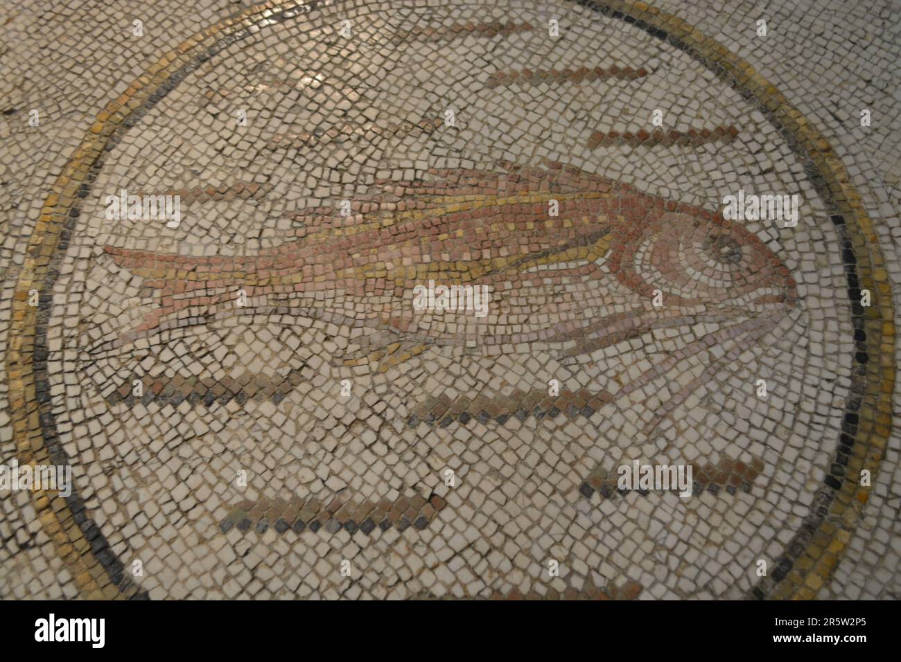 Walters Museum of Art, Baltimore, USA Stockfoto