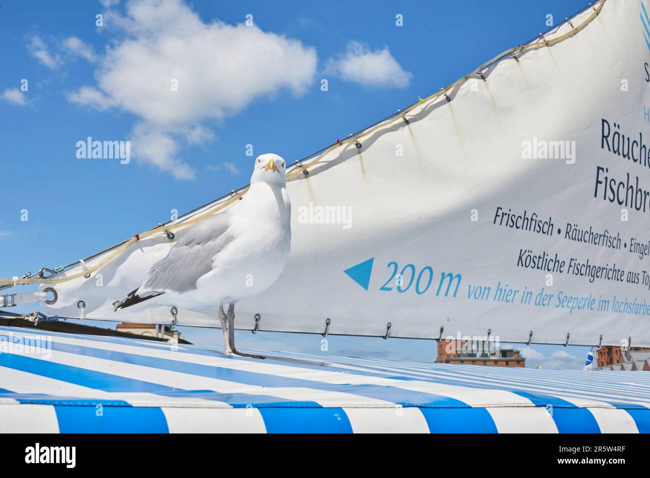 Wismar, Mecklenburg-Vorpomemrn, Deutschland - Hansestadt an der Ostsee Stockfoto