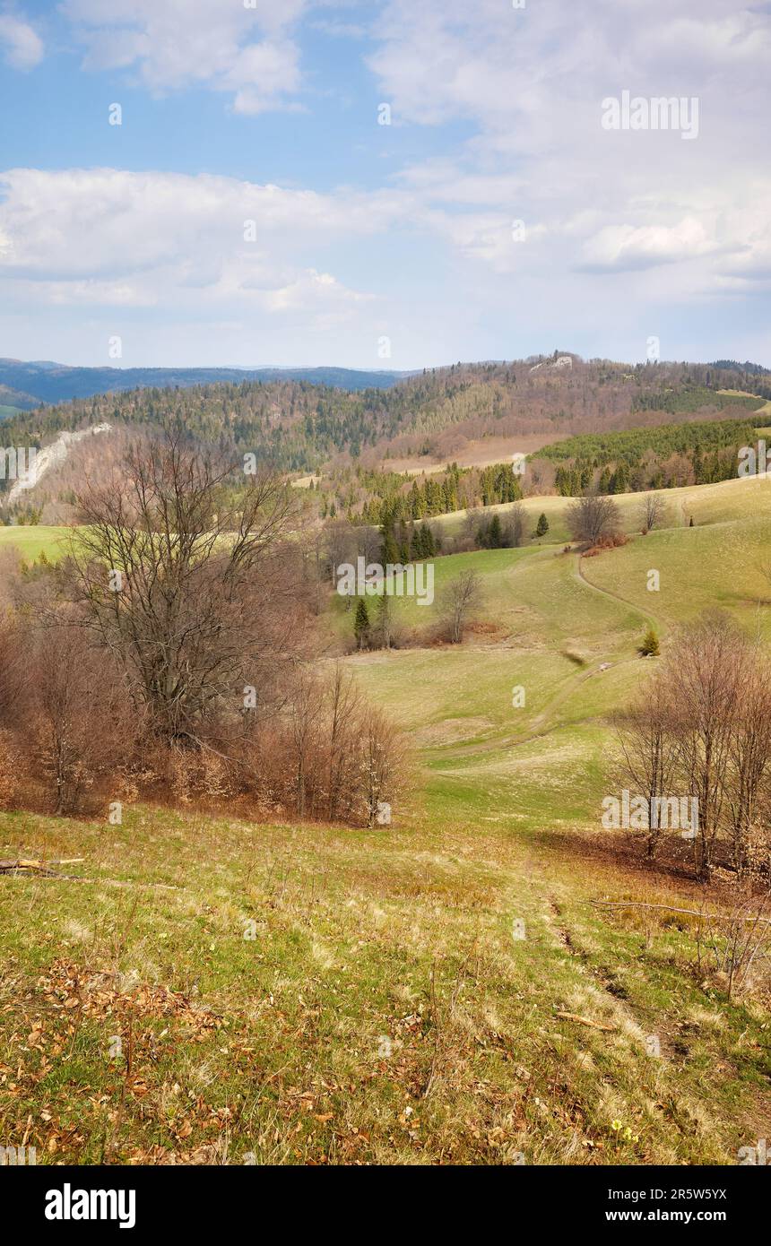 Blick auf die Landschaft des Pienin-Gebirges, Polen. Stockfoto