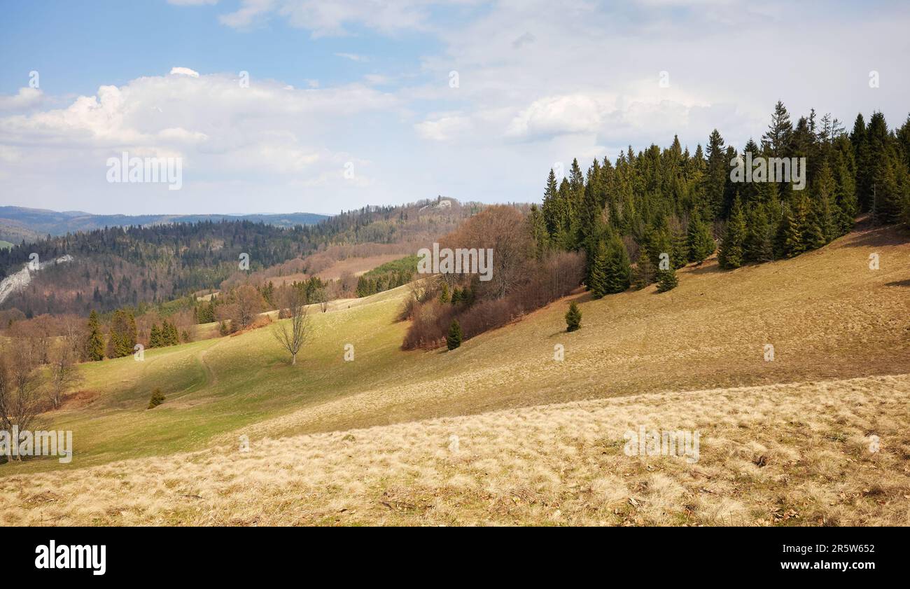 Blick auf die Landschaft des Pienin-Gebirges, Polen. Stockfoto