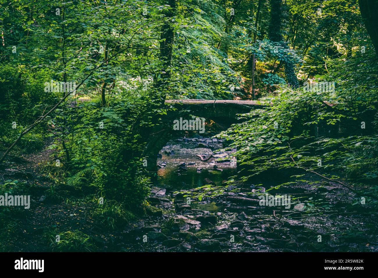 Eine wunderschöne verwitterte Steinbrücke über einen Bach in einem üppigen Wald Stockfoto