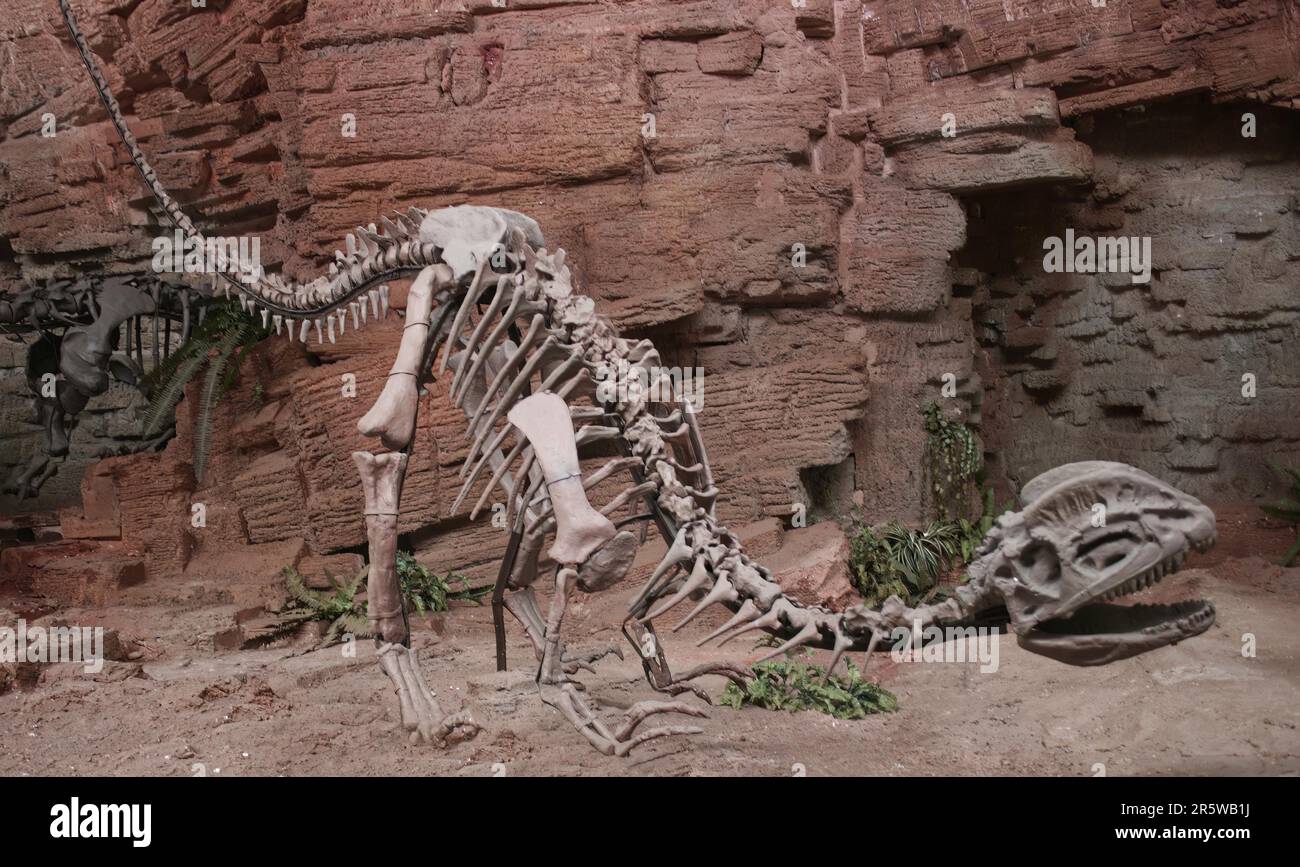 Dilophosaurus Dinosaurier gehörten zu den ersten großen Raubtieren, die in Nordamerika während der frühen Jurassezeit lebten Stockfoto