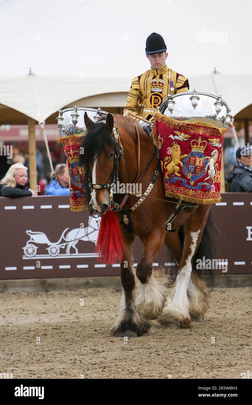 Drum Shire Horse Apollo bei der Royal Windsor Horse Show 2023, Aufführung mit den Household Cavalry, Blues und Royals Stockfoto