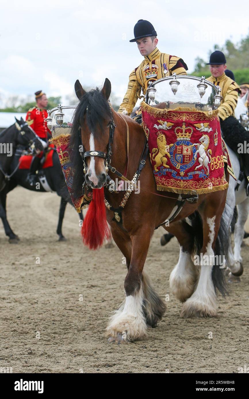 Drum Shire Horse Apollo bei der Royal Windsor Horse Show 2023, Aufführung mit den Household Cavalry, Blues und Royals Stockfoto