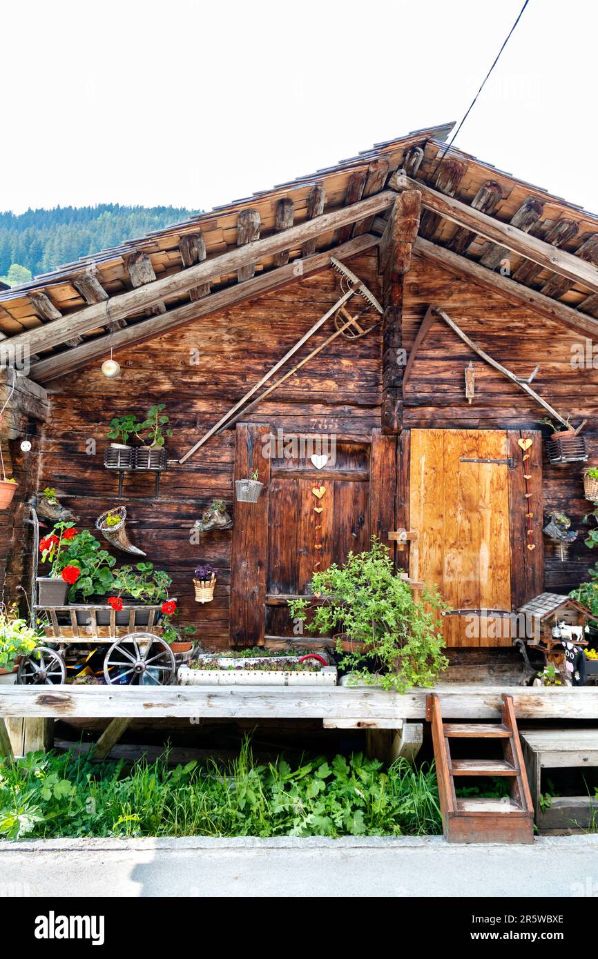 Traditionelles Schweizer Holzhaus im kleinen Bauerndorf Gimmelwald mit Schweizer Alpen im Hintergrund, Schweiz Stockfoto