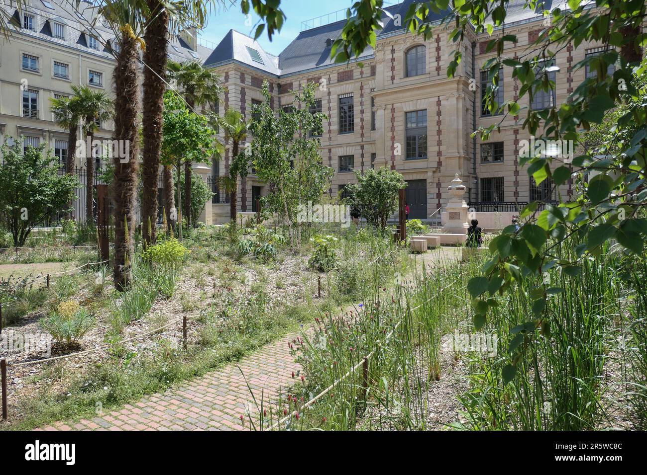 Paris, Bibliotheque national de France (Französische Nationalbibliothek), Jardin Vivienne // Paris, Bibliotheque national de France (Französische Nationalbibliothek L Stockfoto