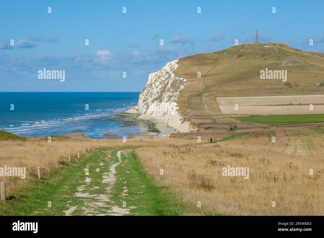 Die Klippen von Cap Blanc-Nez bei Calais, Frankreich, im Sommer Stockfoto