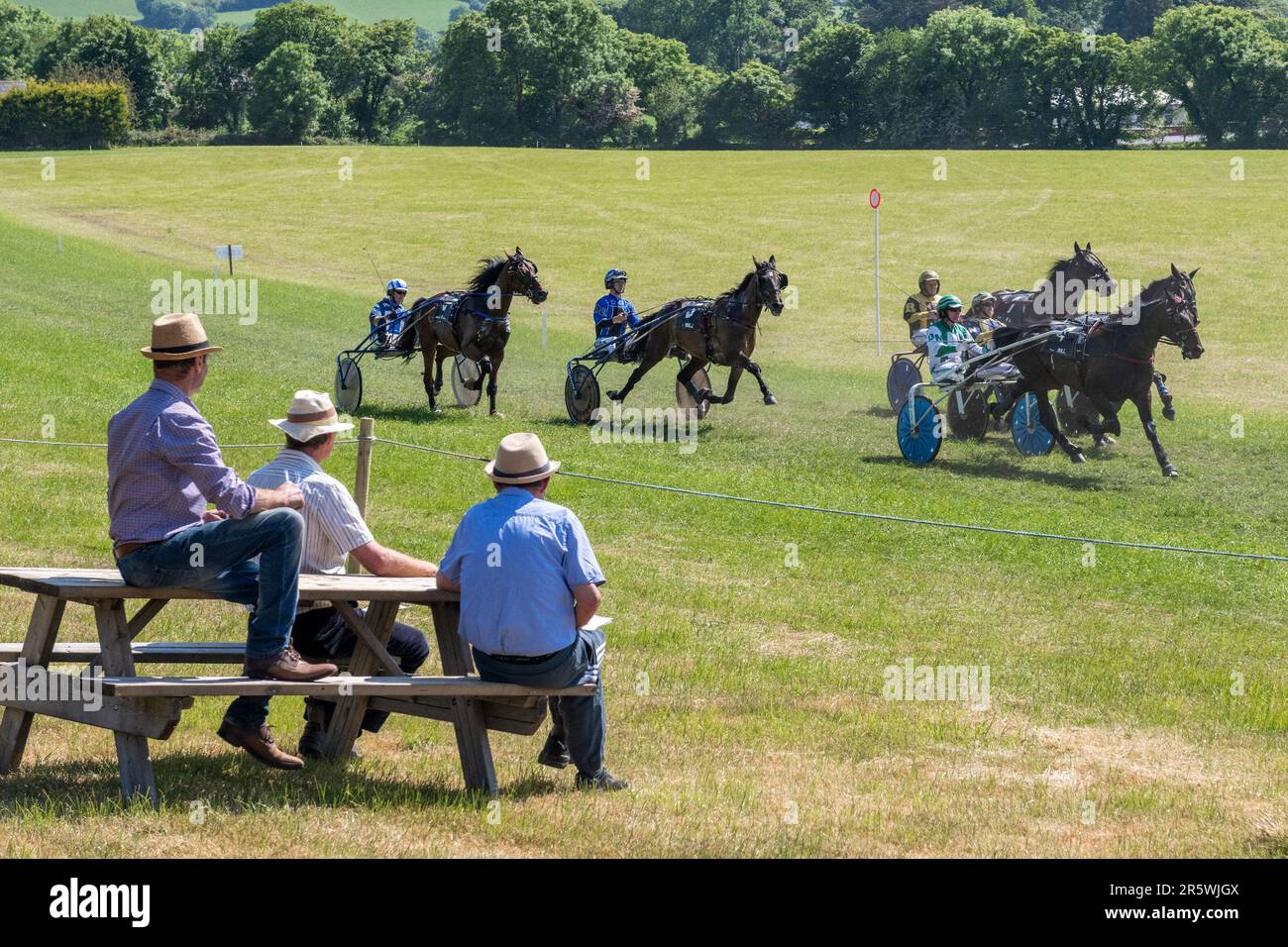 Lyre, West Cork, Irland. 5. Juni 2023. Die Irish Harness Racing Association (IHRA) veranstaltete in Lyre in der Nähe von Clonakilty über das Feiertagswochenende eine irische amerikanische Feier. Der Feiertag war der Abschlusstag mit einer 8-Dollar-Rennkarte und einer Menge Zuschauer. Rennen 5 war vom Tor bis zur Ziellinie nah. Kredit: AG News/Alamy Live News Stockfoto