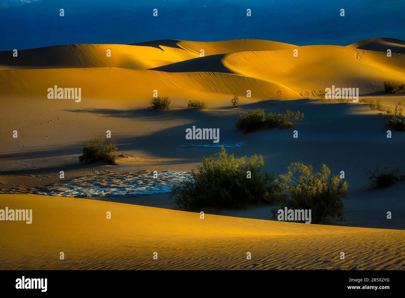 Golden Sunrise Death Valley Stockfoto