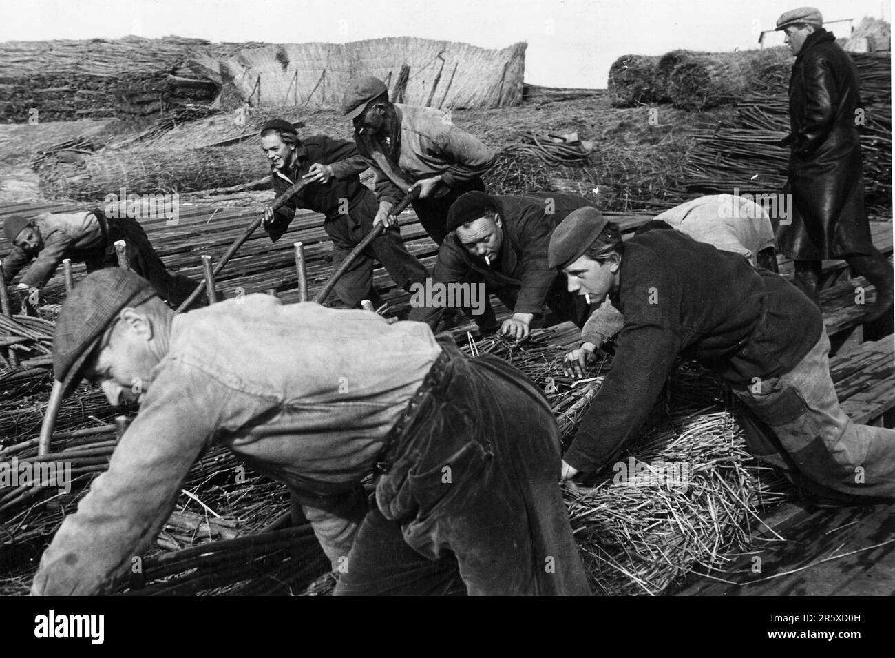 In Holland durchgeführte Bodengewinnungsarbeiten, finanziert durch Marshall-Plan-Mittel. Der Marshall-Plan war ein sehr ehrgeiziges Finanzhilfeprogramm, das von US-Außenminister George Marshall vorgeschlagen wurde. Er verstand, dass ein zerstörtes und prostruktives Europa finanzielle Hilfe braucht, um sich zu erholen und die Bedrohung durch kommunistische Aufstände zu beseitigen. Die Hilfe wurde nicht ausgeliehen, und jedes Land hat über die Verwendung der Mittel entschieden. In den drei Jahren des Programms gaben die USA Europa $13 Milliarden Dollar, eine riesige Summe im Wert von $175 Milliarden Dollar zu heutigen Werten. Dieser weitreichende und großzügige Plan war ein wichtiger Faktor Stockfoto