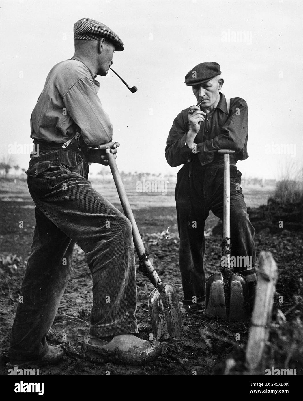 In Holland durchgeführte Bodengewinnungsarbeiten, finanziert durch Marshall-Plan-Mittel. Der Marshall-Plan war ein sehr ehrgeiziges Finanzhilfeprogramm, das von US-Außenminister George Marshall vorgeschlagen wurde. Er verstand, dass ein zerstörtes und prostruktives Europa finanzielle Hilfe braucht, um sich zu erholen und die Bedrohung durch kommunistische Aufstände zu beseitigen. Die Hilfe wurde nicht ausgeliehen, und jedes Land hat über die Verwendung der Mittel entschieden. In den drei Jahren des Programms gaben die USA Europa $13 Milliarden Dollar, eine riesige Summe im Wert von $175 Milliarden Dollar zu heutigen Werten. Dieser weitreichende und großzügige Plan war ein wichtiger Faktor Stockfoto