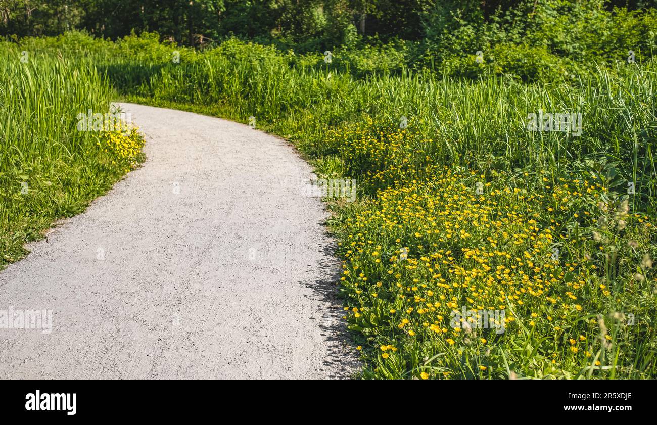 Schotterstraße im Park, Schotterpfad mit Bäumen und Rasen im Garten. Wunderschöne Gartenanlage im Sommerpark. Reisefoto, niemand, Kopierraum Stockfoto
