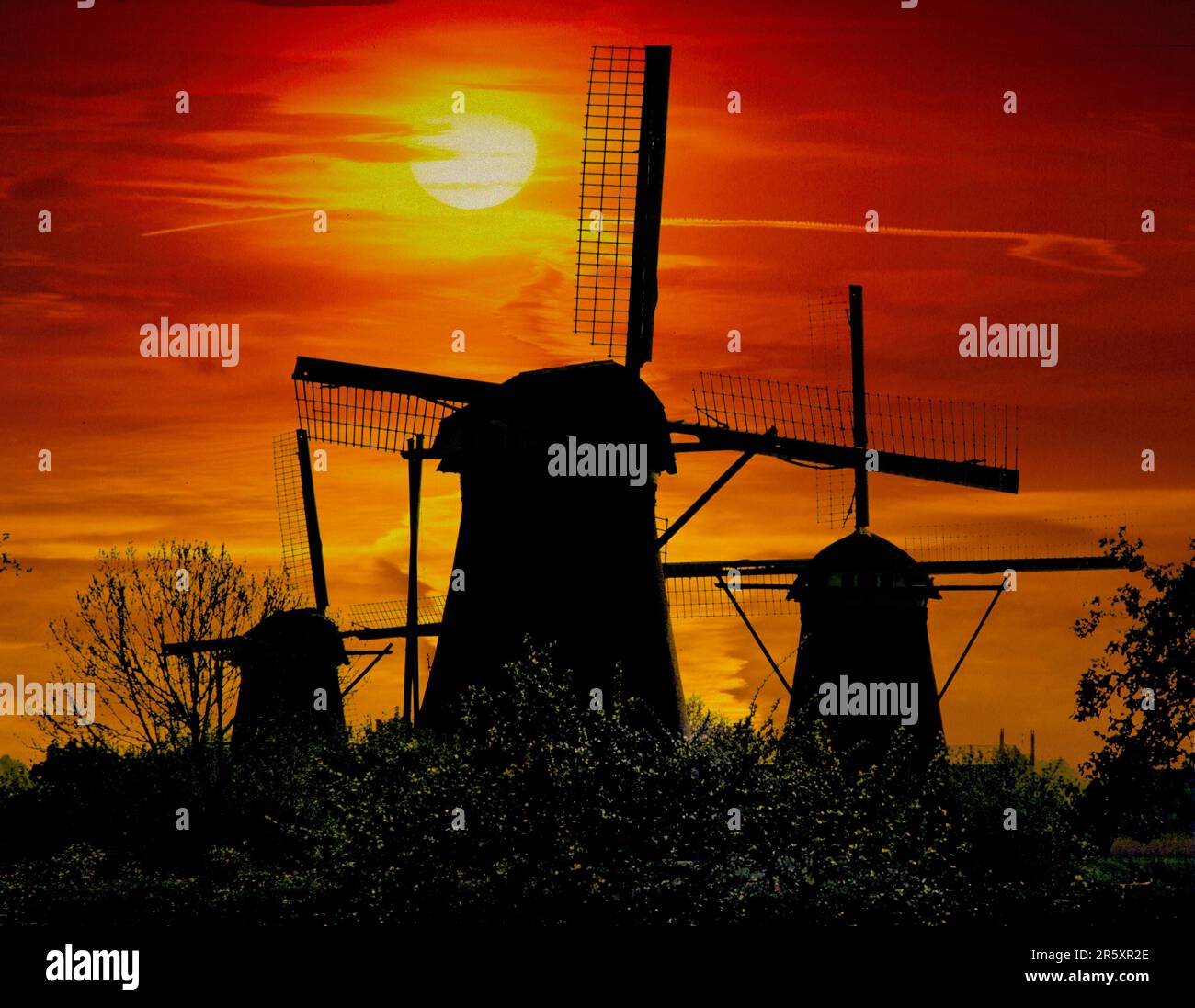 Windmühlen im Abendlicht Niederlande Stockfoto