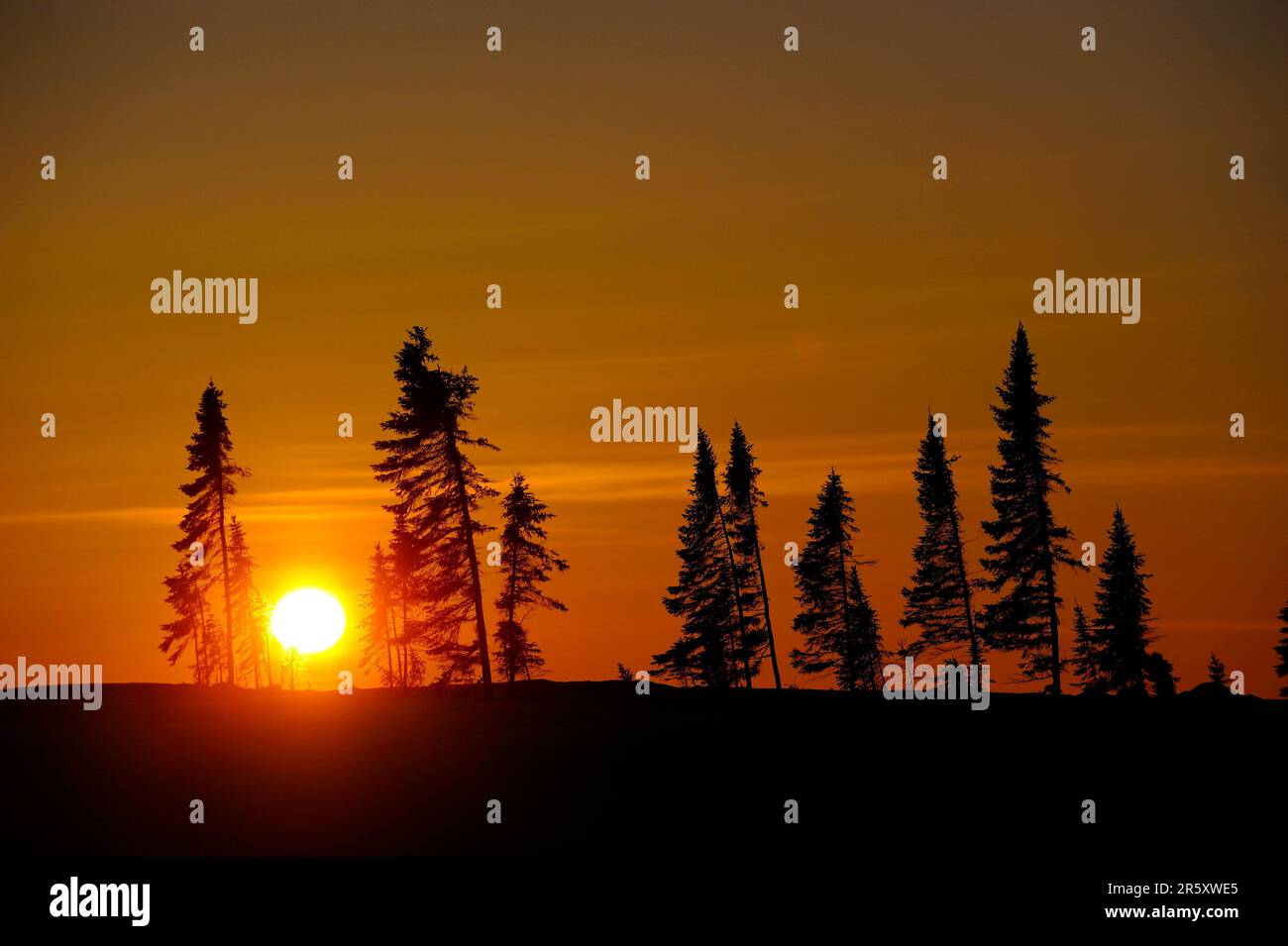 Tundra bei Sonnenuntergang, Wapusk National Park, Churchill, Manitoba, Kanada Stockfoto