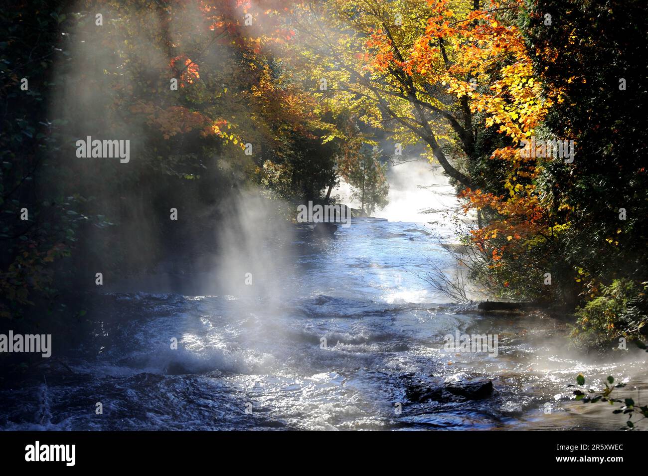 Bouchard Brook, La Mauricie National Park, Quebec, Kanada Stockfoto