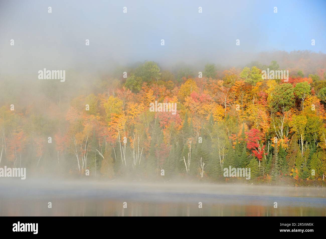 Modene Lake, La Mauricie National Park, Quebec, Kanada Stockfoto