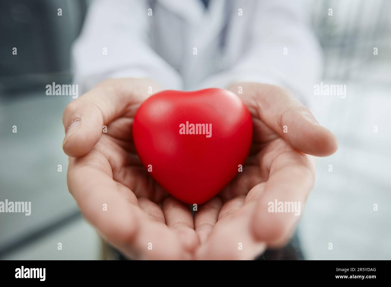 Ein Arzt hält ein Herz in den Händen, Nahaufnahme Stockfoto