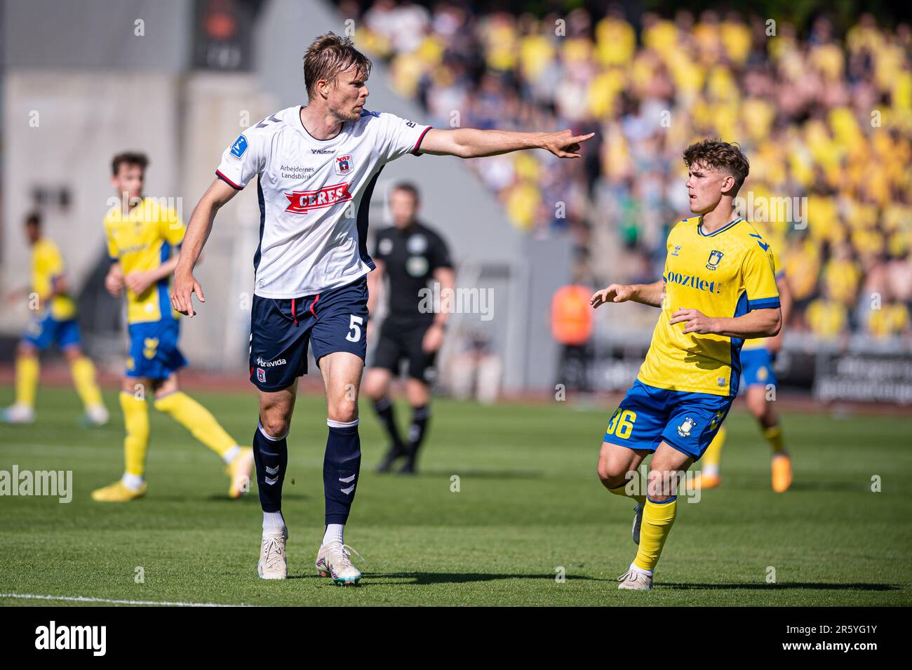 Aarhus, Dänemark. 04., Juni 2023. Frederik Tingager (5) von Aarhus GF beim Superliga-Spiel 3F zwischen Aarhus GF und Broendby IF im Ceres Park in Aarhus. (Foto: Gonzales Photo - Morten Kjaer). Stockfoto