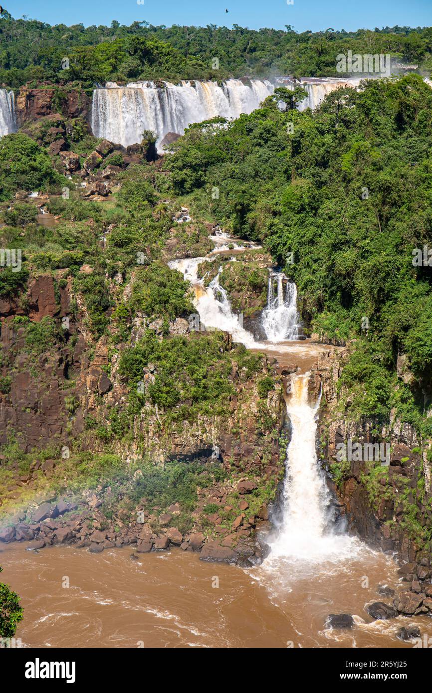 Rauschende Wasserfälle im üppigen grünen Regenwald, Iguazu Falls, Misiones, Argentinien Stockfoto