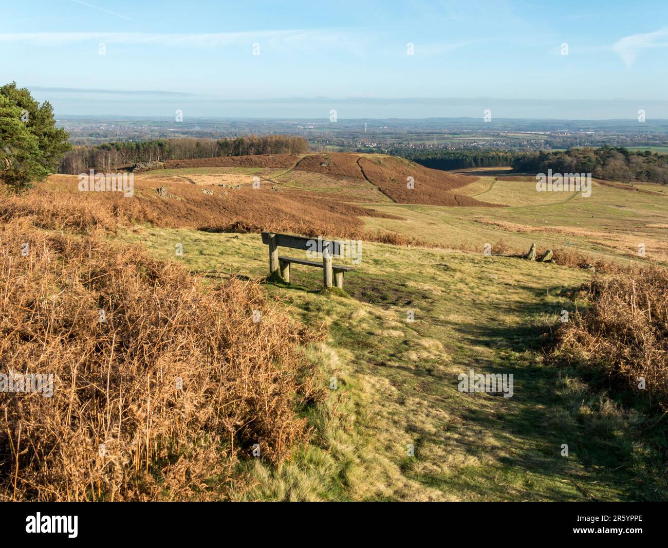 Parkbank aus Holz mit Blick auf den Bradgate Park Country Park im Dezember, Leicestershire, England, Großbritannien Stockfoto