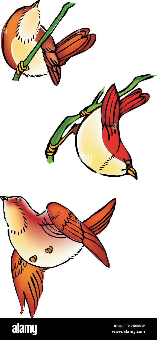 Eine Illustration, Vektor für drei verschiedene Ansichten von Vögeln Stock Vektor