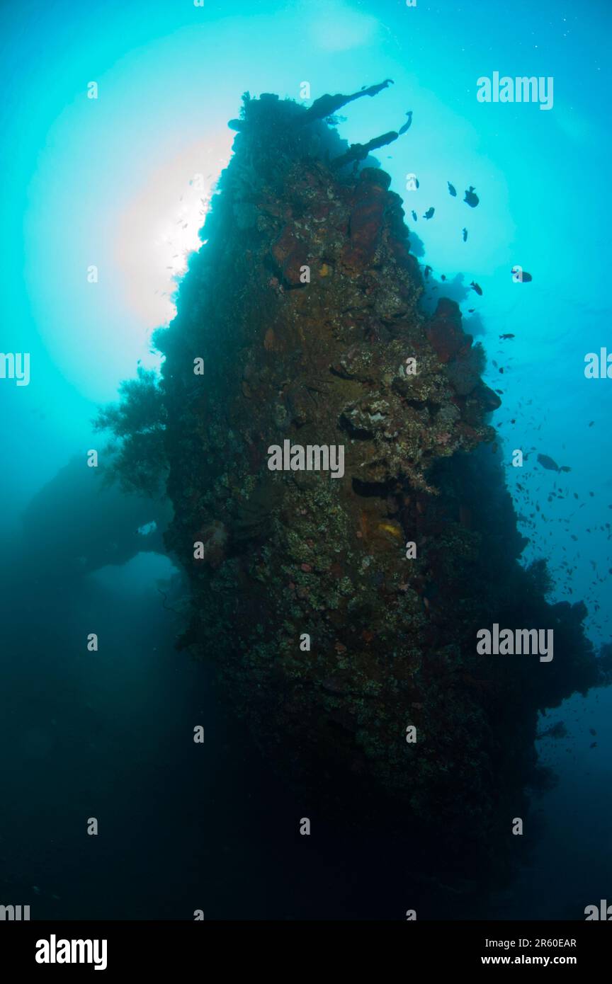 Seite des USAT-Liberty-Schiffs, Transportschiff der US-Armee, im Zweiten Weltkrieg von Japanern torpediert, mit Sonne im Hintergrund, Liberty Wreck Tauchplatz, Tulamben, Bali, Indo Stockfoto