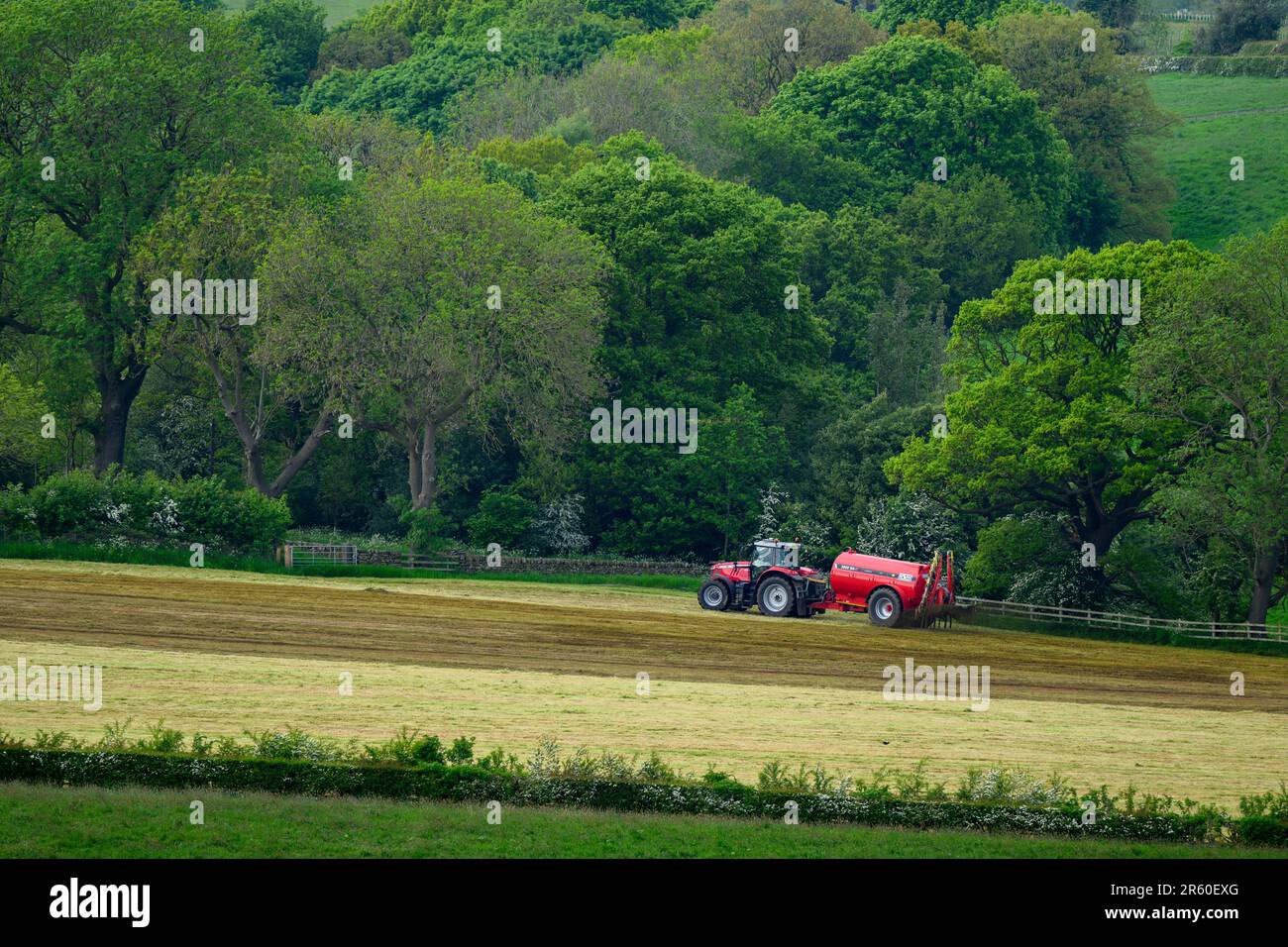 Landwirt arbeiten Fahren Traktor & zylindrischen Düngebehälter Sprühen Entleerungs Gülle auf Land Ackerland Weide Gras - Yorkshire, England Großbritannien Stockfoto
