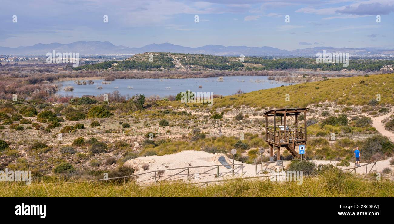 Clot de Galvany Naturpark. Wichtige Feuchtgebiete, in denen wir auch Überreste vergangener Zeiten finden. Gelegen in Elche, Alicante, Valencian Community, Spa Stockfoto