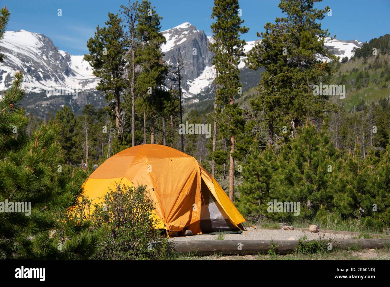 Zelten im orangefarbenen Zelt mit Hallet Peak und schneebedeckten Rocky Mountains in Colorado, USA horizontal Stockfoto