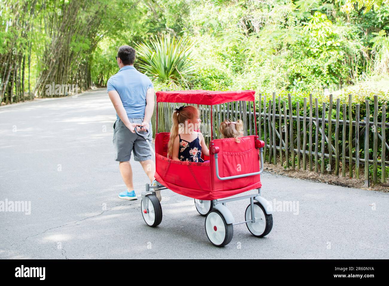 Dad zieht Kinder in einem roten Wagen im Zoo. Ein Familienspaziergang Stockfoto