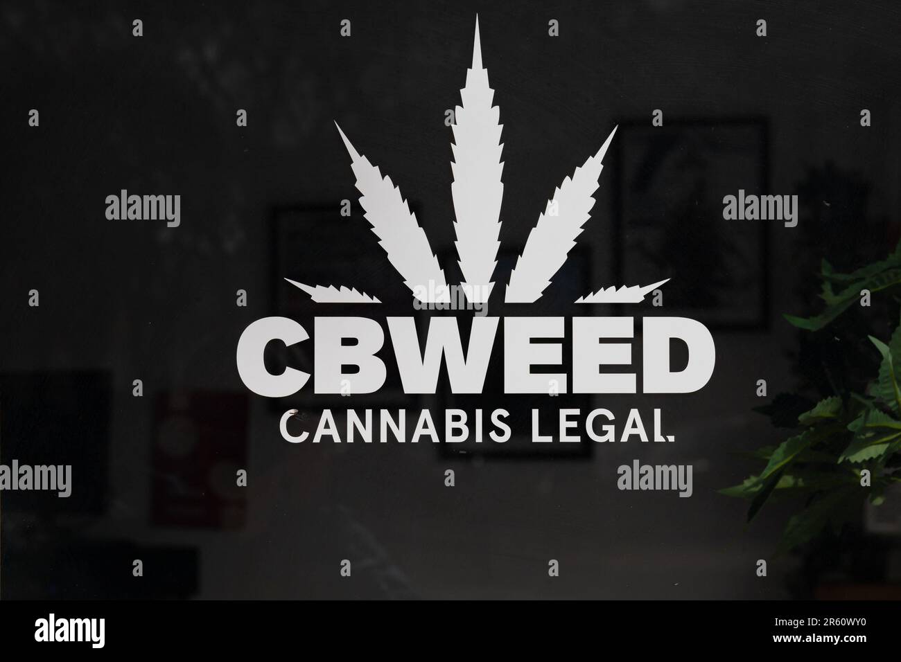 Schild für legalen Cannabisladen, CBWEED, Lissabon, Portugal Stockfoto