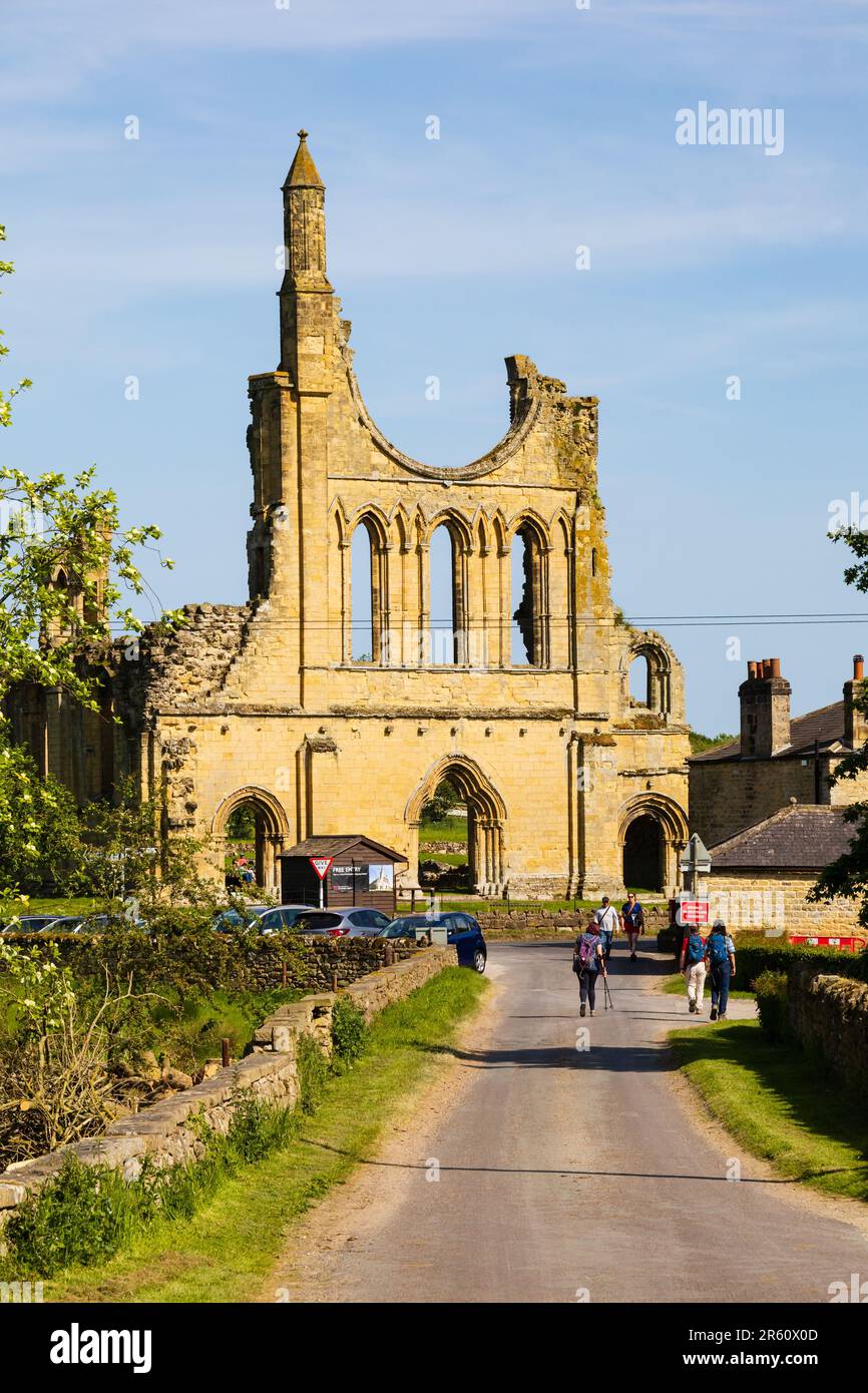 Zisterzienserruinen der Byland Abbey im North Yorkshire Moors National Park. Ryedale. Stockfoto
