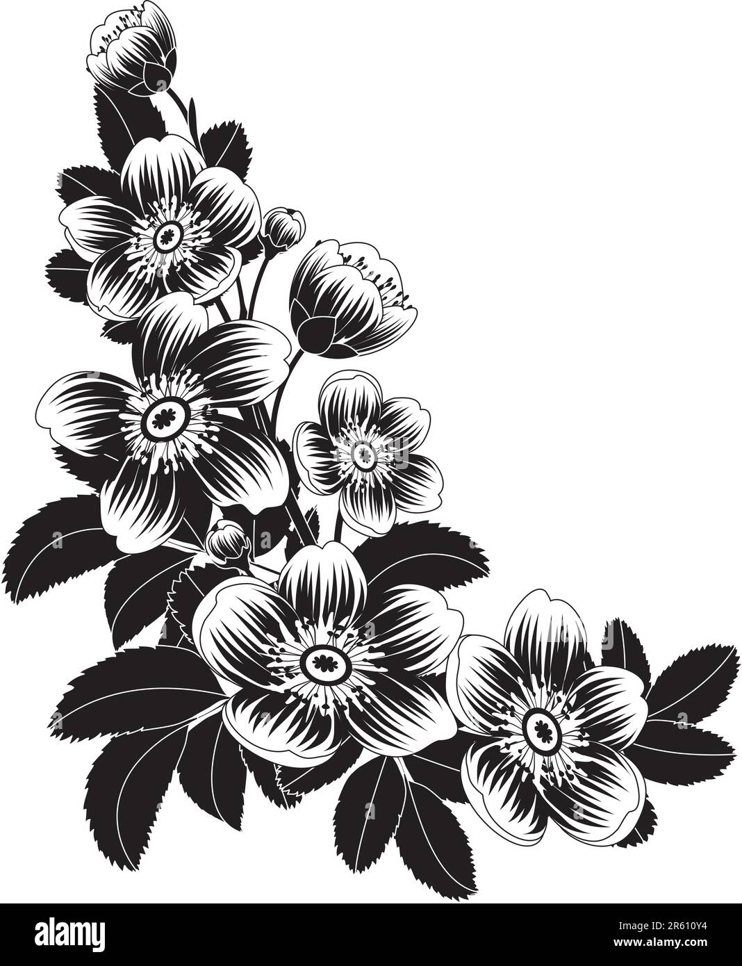 Vektordarstellung - Blütenblüten Stock Vektor