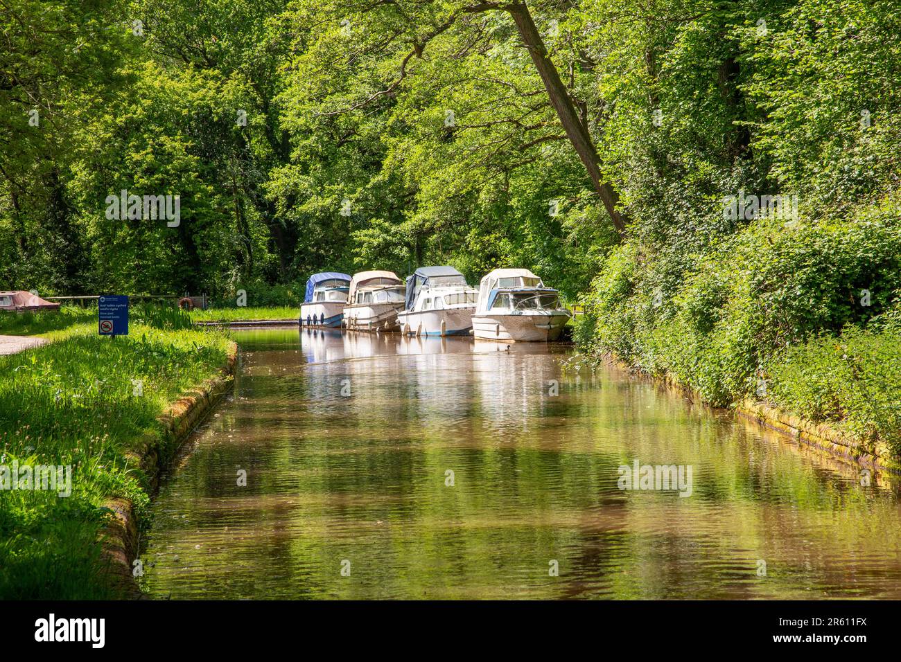 Kreuzfahrtschiffe auf dem ruhigen, von Bäumen gesäumten Schleppweg des Monmouth und Brecon Canal in der Nähe von Llangattock Powys Wales Stockfoto