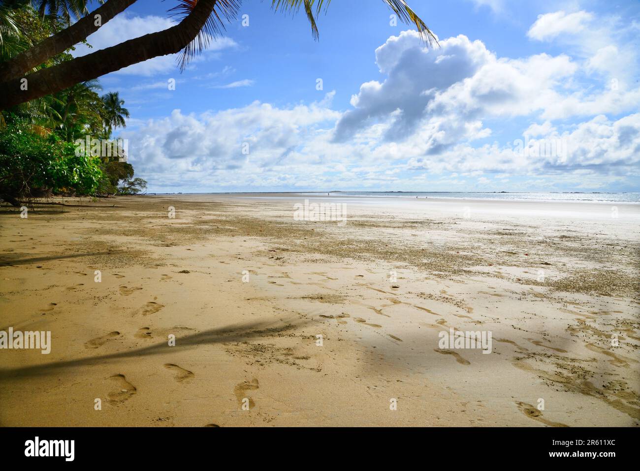 Das Meeresgebiet des Marina Ballena Nationalparks in Costa Rica. Stockfoto