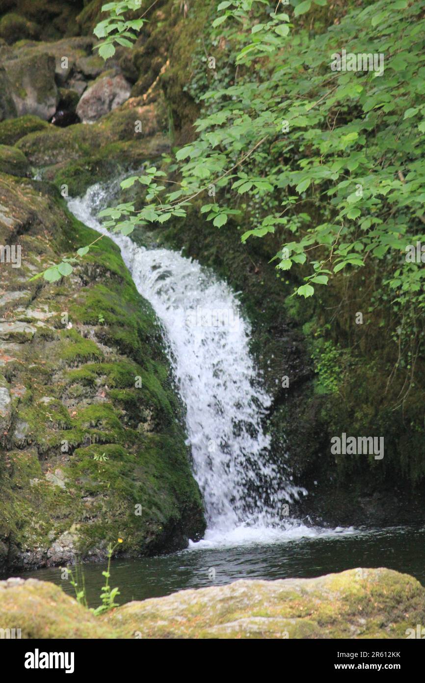 Plas Cadnant, Versteckte Gärten Stockfoto