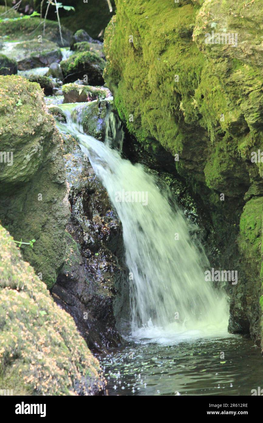 Plas Cadnant, Versteckte Gärten Stockfoto