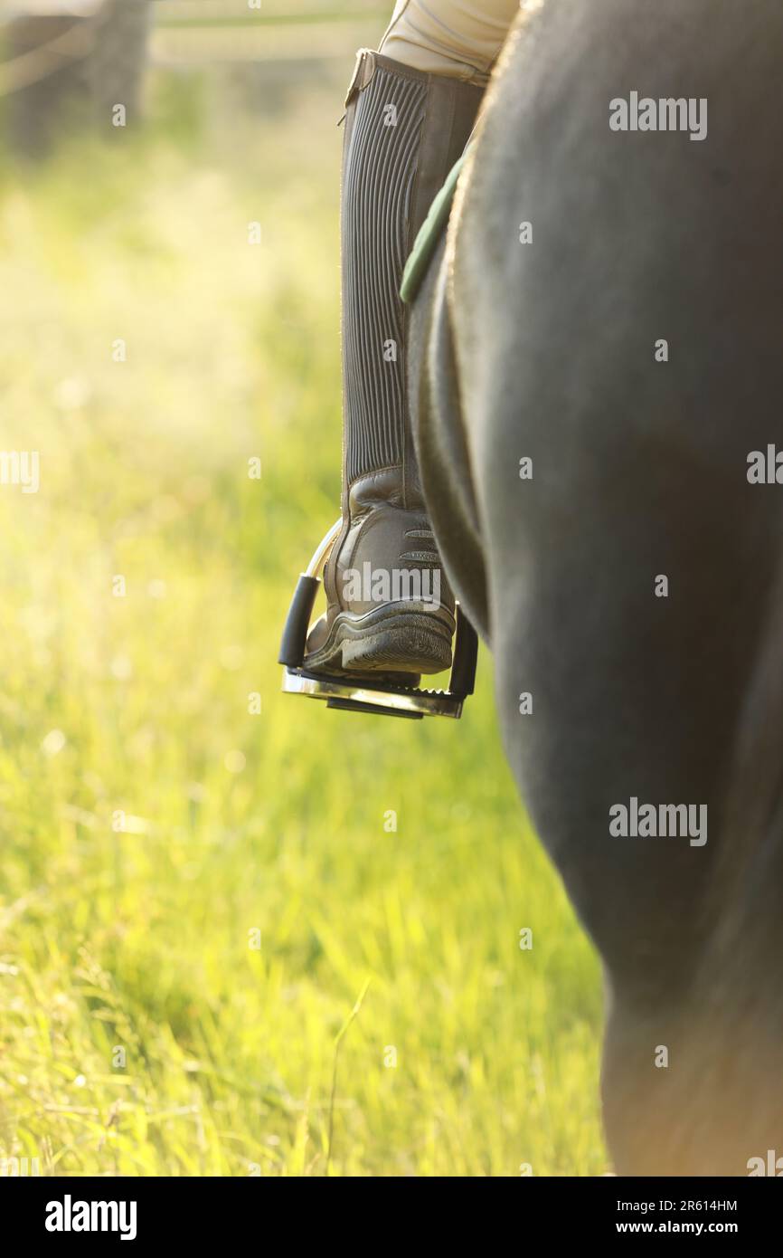 Nahaufnahme eines Reiters Unterschenkel, Reitstiefel und Steigbügel, reiten auf einem schwarzen Pferd Stockfoto