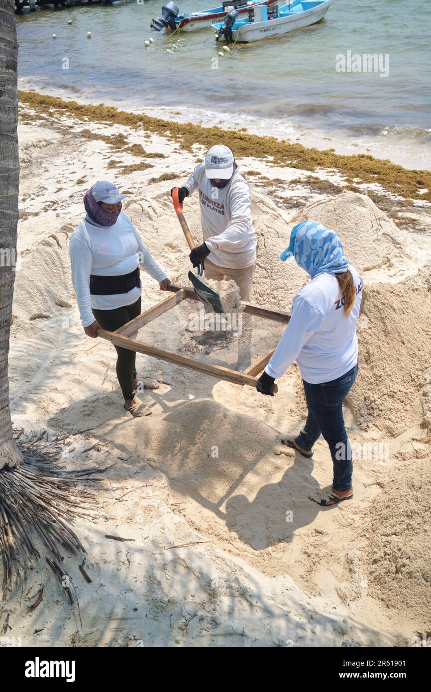 Blue Flag Arbeiter reinigen den Strand Sand in Puerto Morelos Yucatan Mexiko Stockfoto