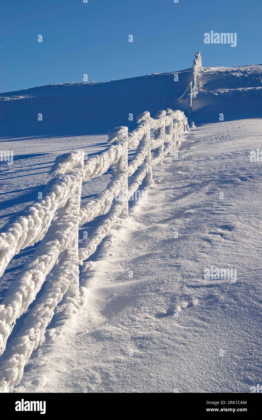 Recinzione ghiacciata sul monte Carpegna Stockfoto