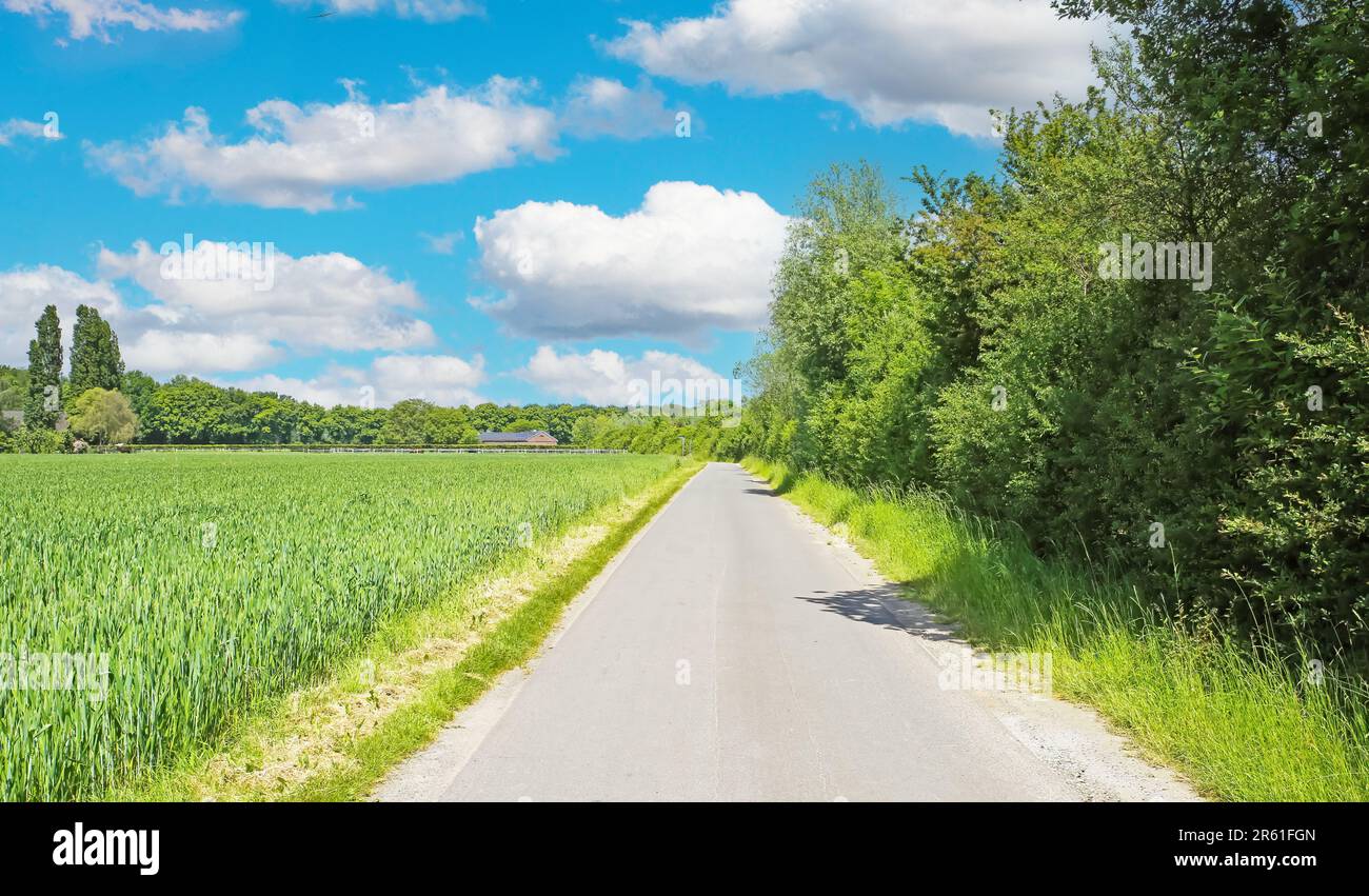 Schöne, leere ländliche Landschaft Radweg im Sommer - Viersen, Niederrhein, Deutschland Stockfoto