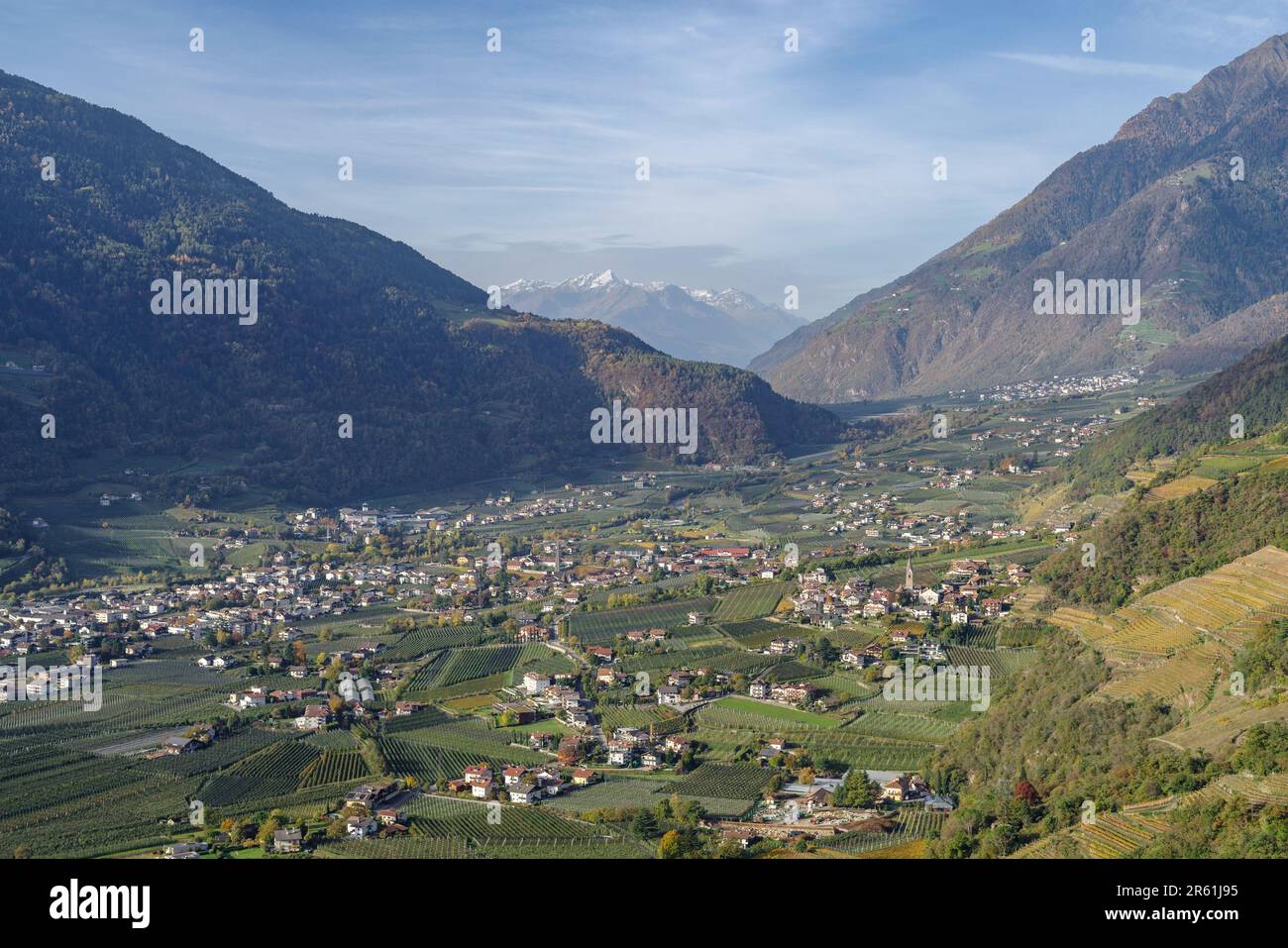Überblick über das Dorf und die Weinberge von Tirol (Dorf Tirol), Südtirol, Italien Stockfoto