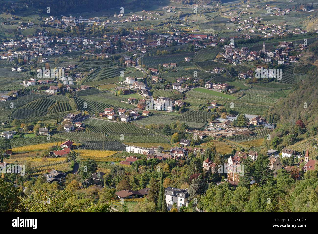 Überblick über das Dorf und die Weinberge von Tirol (Dorf Tirol), Südtirol, Italien Stockfoto