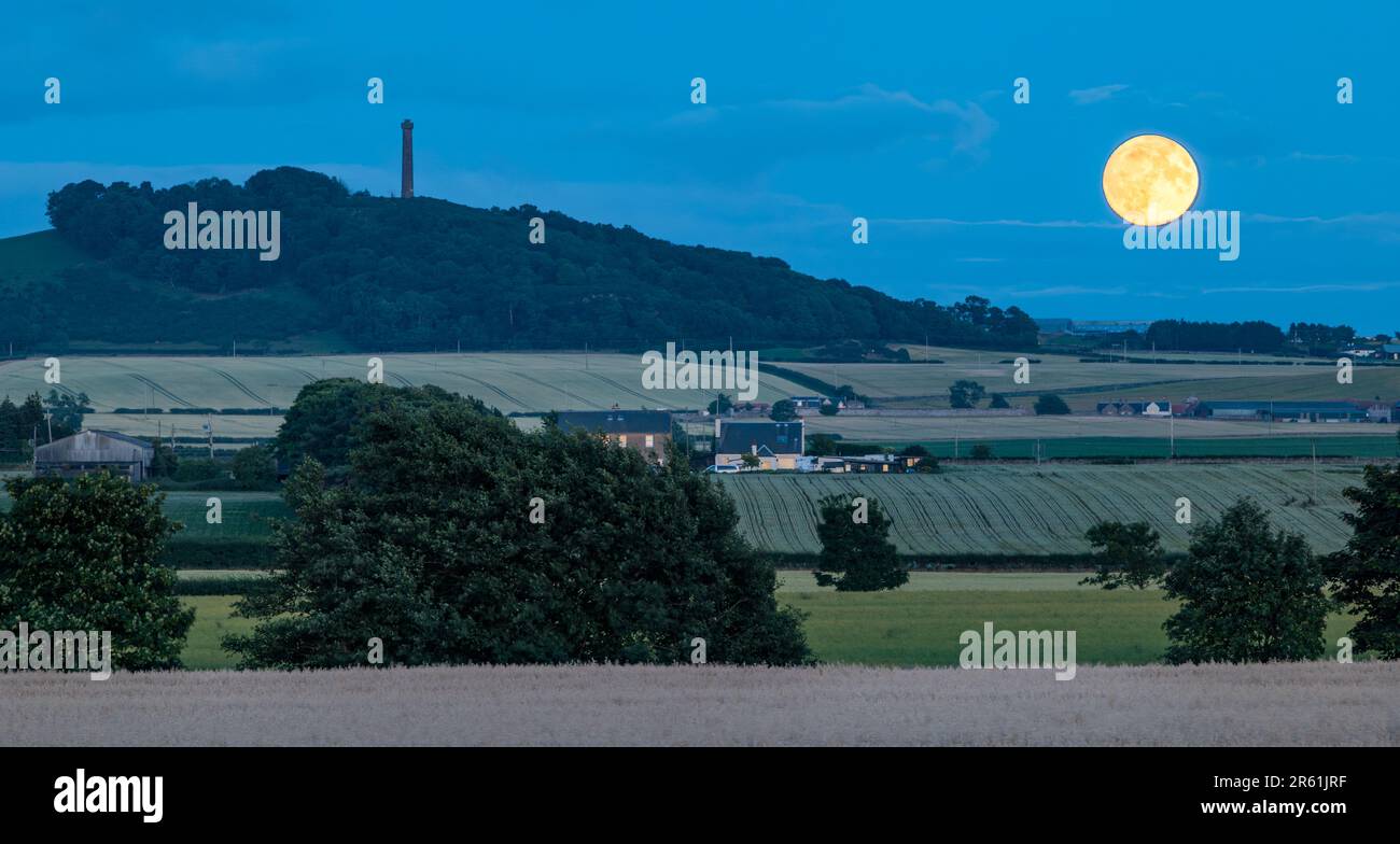 Supermoon Vollmond steigt neben Byres Hill in der Dämmerung oder Dämmerung, East Lothian, Schottland, Großbritannien Stockfoto